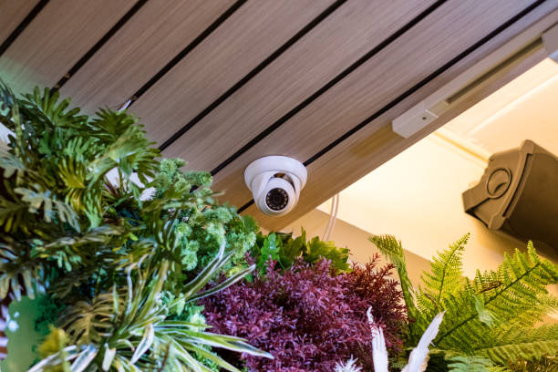 Dome Camera